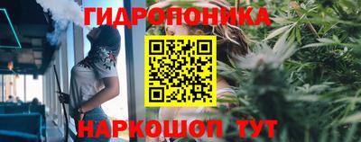 амф Малгобек