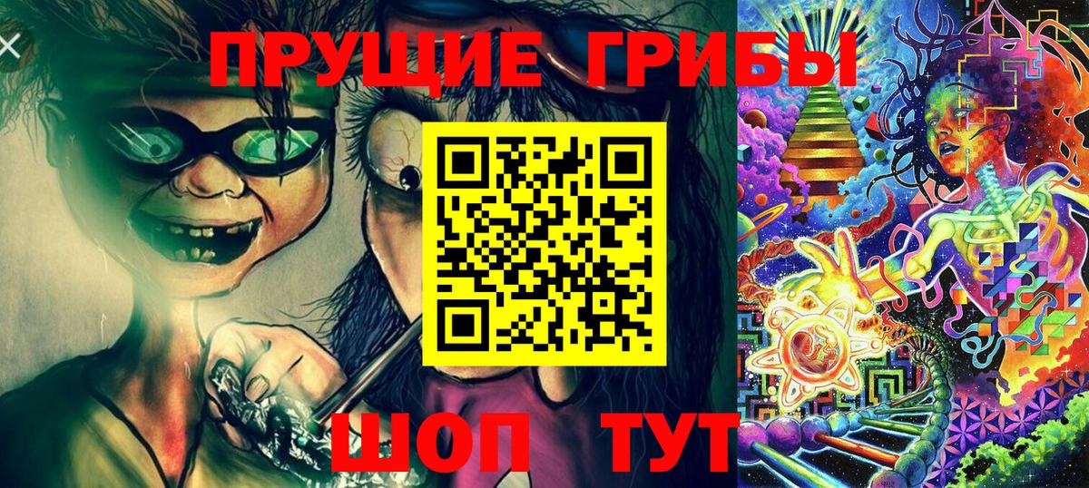 Псилоцибиновые грибы MAGIC MUSHROOMS  Вход с VPN  Владикавказ  Псилоцибиновые грибы MAGIC MUSHROOMS 
